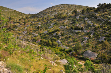 Fototapeta na wymiar Hvar countryside landscape in summer
