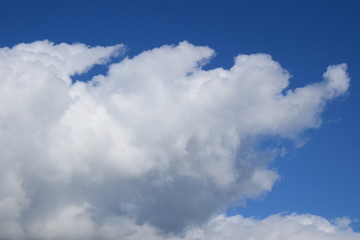 Naklejka na ściany i meble Weiße Wolken vor blauen Himmel nach einer Regennacht