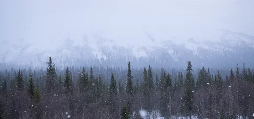 Afwasbaar Fotobehang Mistig bos winterbos in de bergen, sneeuwstorm, sneeuwval, romantiek.