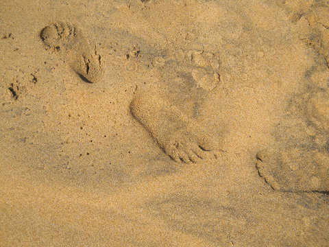 Close-up shot of footprint on orange sandy beach. Summer image of kids small foot signs in the wet golden sand of lake Baikal seashore