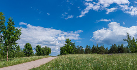 Empty Path Across Summer Meadow