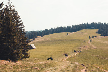 Fototapety na wymiar - Fototapeta24.pl