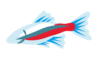 Tropical fish - Tetra Fish