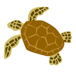 Fototapeta premium Sea turtle - sea life