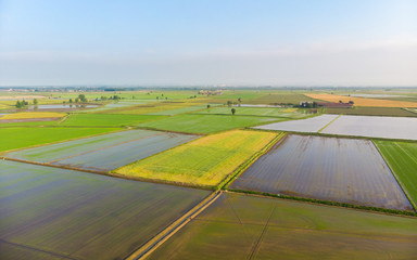 Aerial: rice paddies, flooded cultivated fields farmland rural italian countryside, agriculture...