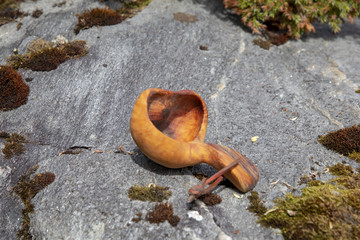 Hiking coffee cup in wood