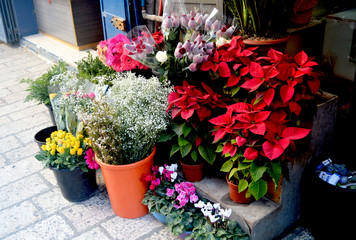 Flower shop on the street