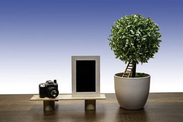 Green bush tree in white flowerpot with Photo Frame and Camera