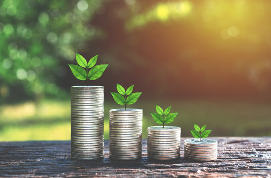 coins with plant on top put on wooden in the soft nature background.