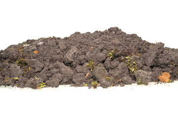 earth isolated on white background
