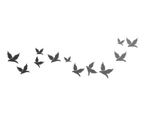 Bird background Template vector