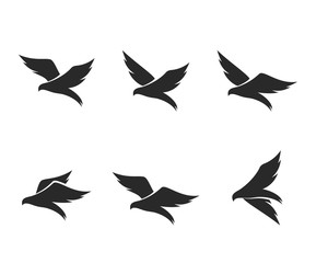 Bird Logo Template