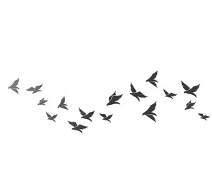 Bird background Template vector