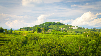 Sunset in the vineyards of Rosazzo