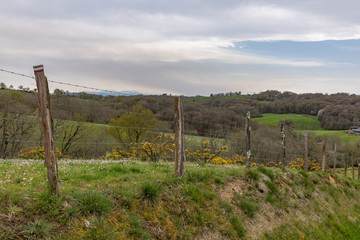 Fototapeta na wymiar Camino de Santiago, Via Podiensis near Navarrenx in France
