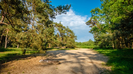Typical Dutch landscape of 't Lutterzand, a forest area near the German border and a geological monument. It is characterised by the river The Dinkel that passes through and visited by many tourists.