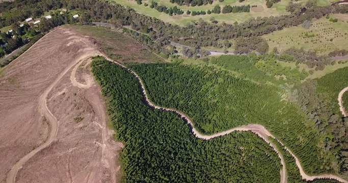 Drone flying over a coniferous forest with some erosion and logging 