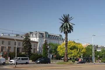 Fototapeta na wymiar The Artificial palm tree on Charles de Gaulle's traffic circle in the Warsaw downton. One of the most recognizable landmarks in Warsaw, Poland.