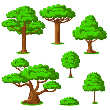 Cartoon trees set on a white background. Vector illustration.