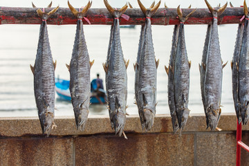 Food preservation, salted fish is fish cured with dry salt and thus preserved for later eating.