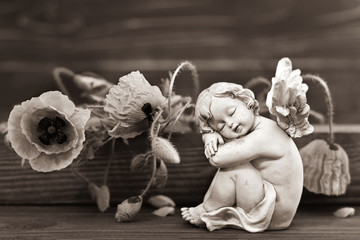 Angel guardian and poppy flowers