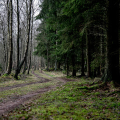 Obraz premium SAMSUNG CSC