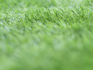 Fototapeta na wymiar Texture of plastic artificial grass of school yard by shallow depth of field