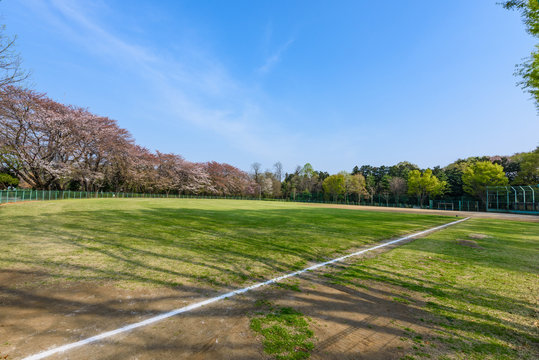 野球グラウンド　Baseball Ground