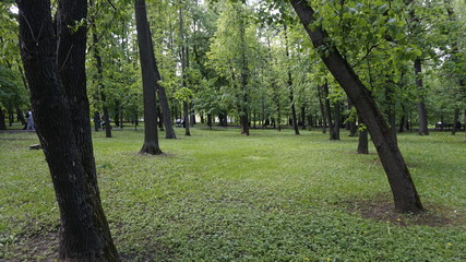 Green Nature in Moscow