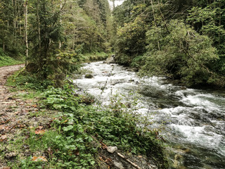 River flowing through the mountains and forest near Schladming Austria