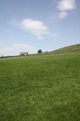 Fields in Yorkshire Dales