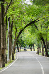 green bike lane in the garden