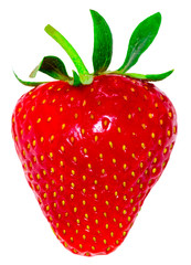 Strawberry isolated on white background. Clipping Path