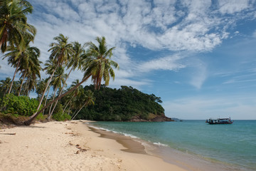 une très belle plage tropicale avec ses cocotiers et un bateau au mouillage 