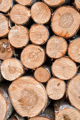Fototapeta premium Birch firewood. Background