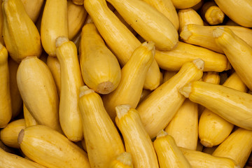 Yellow squash
