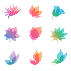 Fototapeta na wymiar Pastel colored elements of nature like flower, leaf and butterfly. Vector set for fresh design