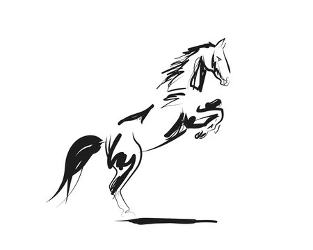 Fototapeta Vector ink sketch of a horse