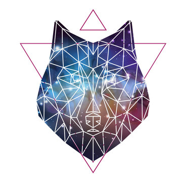 Abstract polygonal tirangle animal wolf on open space background. Hipster animal illustration.