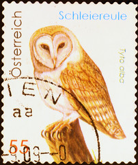 Barn owl on austrian postage stamp