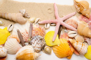 Beautiful starfish and seashells lying on the sand