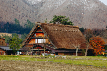 Fototapeta na wymiar Shirakawa village in late november autumn to winter season