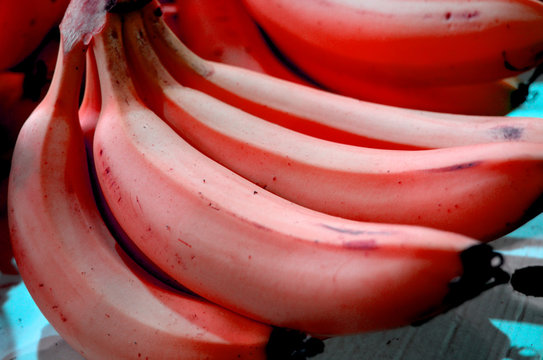 Pink Banana Vintage