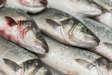 fresh chilled sea fish on ice. Fresh fish from the sea to the market displayed on a thick bed of fresh ice that is not melting to retain its natural flavor and its natural appearance