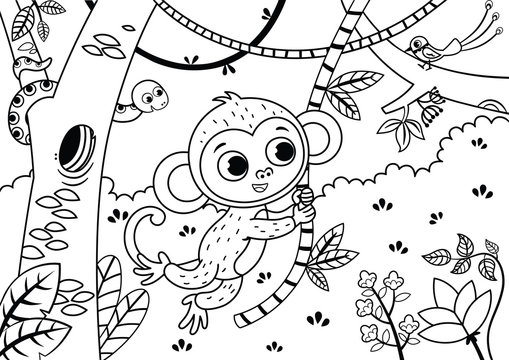 Black and white illustration of a cute monkey in the jungle. Vector illustration.