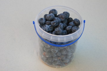 Heildelbeeren, Blaubeeren