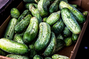in a pickle