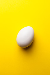 white egg on a yellow background