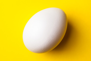 white egg on a yellow background