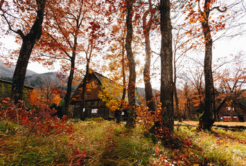 Obraz premium Shirakawa village in late november autumn to winter season